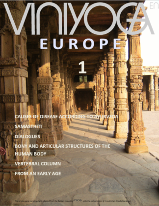 Viniyoga Europe 1