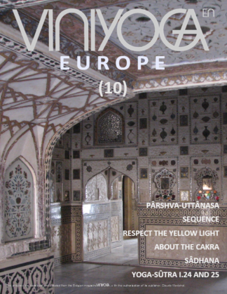 Viniyoga Europe 10